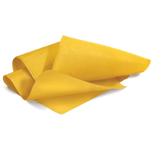 [300653] ❄️PRONTOSFOGLIA LASAGNA 10KG CONG - SURGITAL